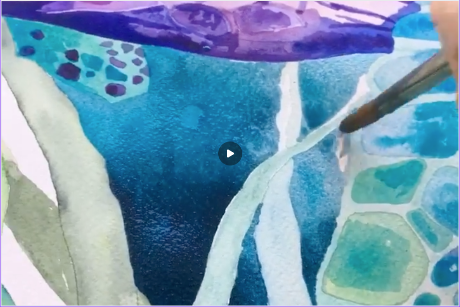 Turtle Watercolour Design in progress