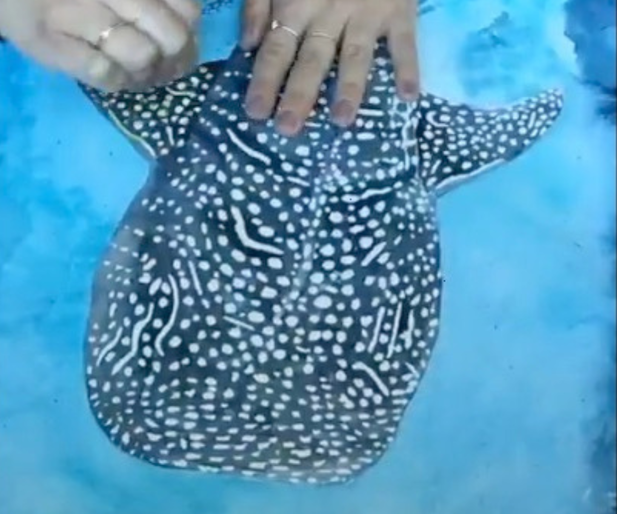Whale shark watercolour art in progress