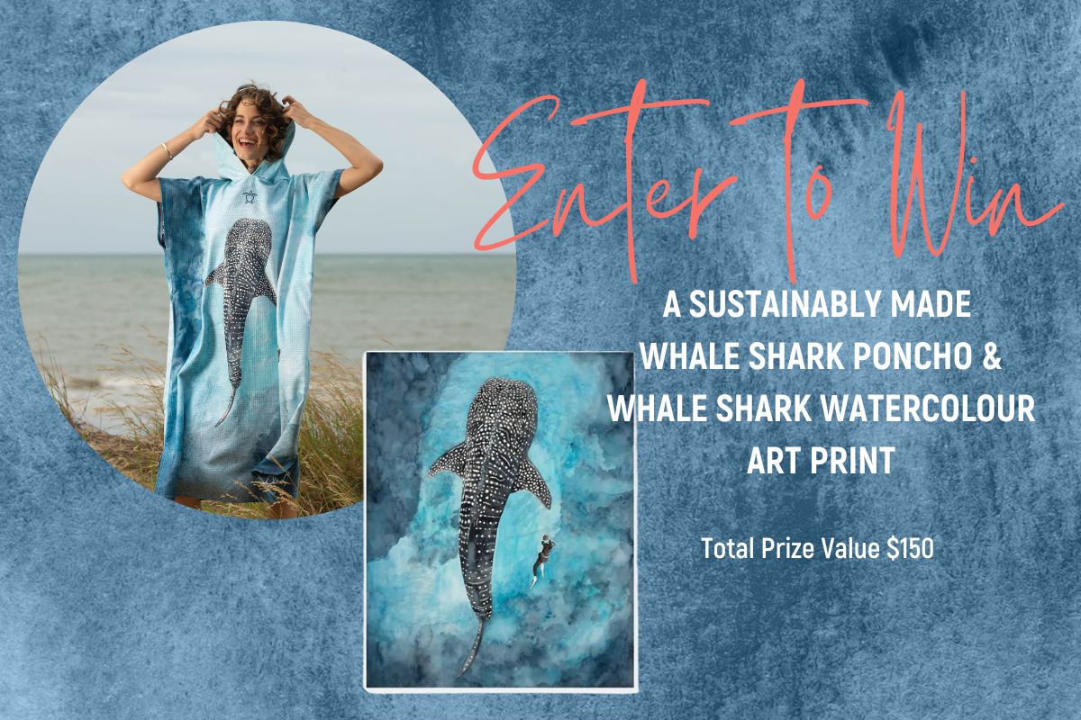 Whale shark Poncho and print giveaway banner